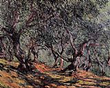 Olive Trees in Bordighera by Claude Monet
